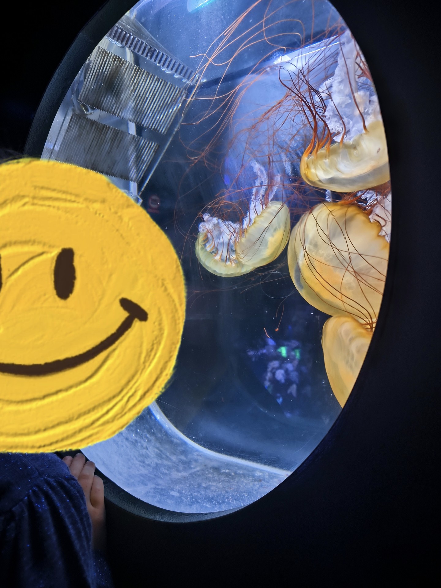 Sortie a l'aquarium 